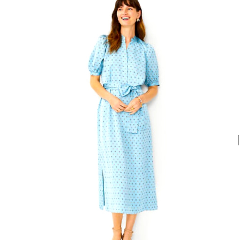 NWT Ann Taylor Dress